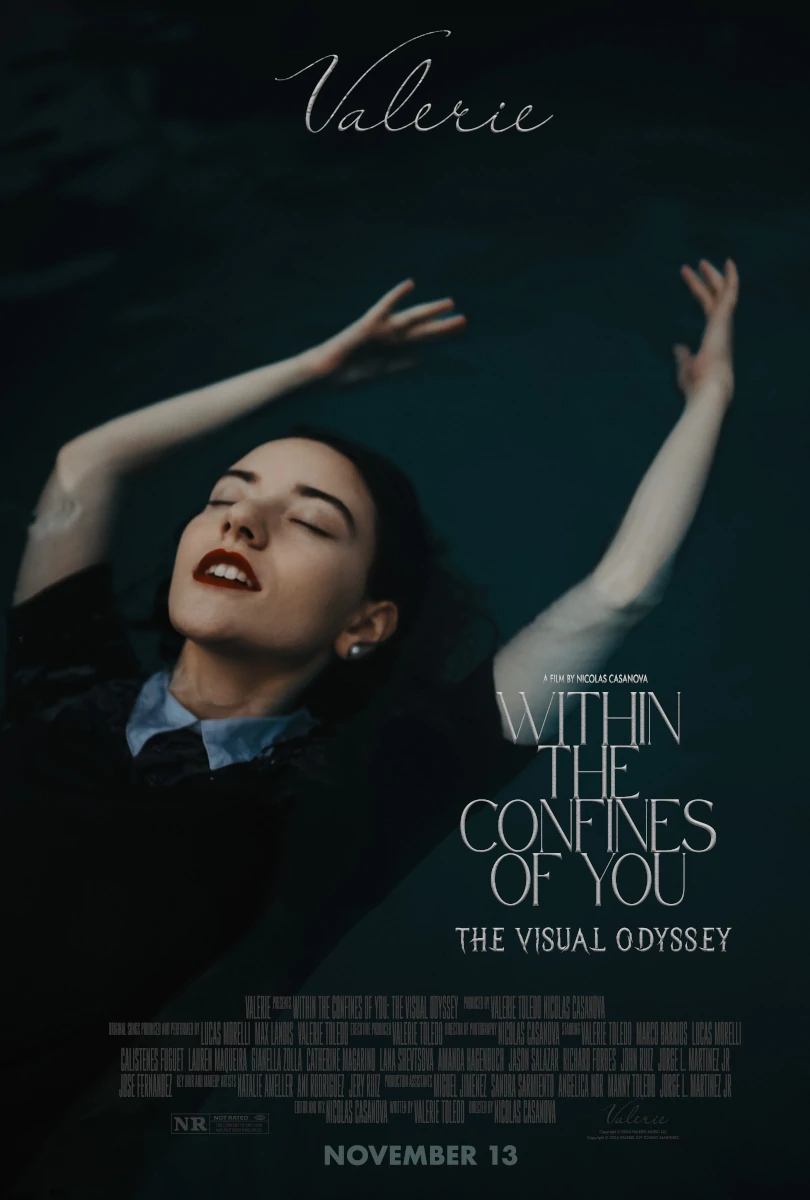 Theatrical poster for The Visual Odyssey