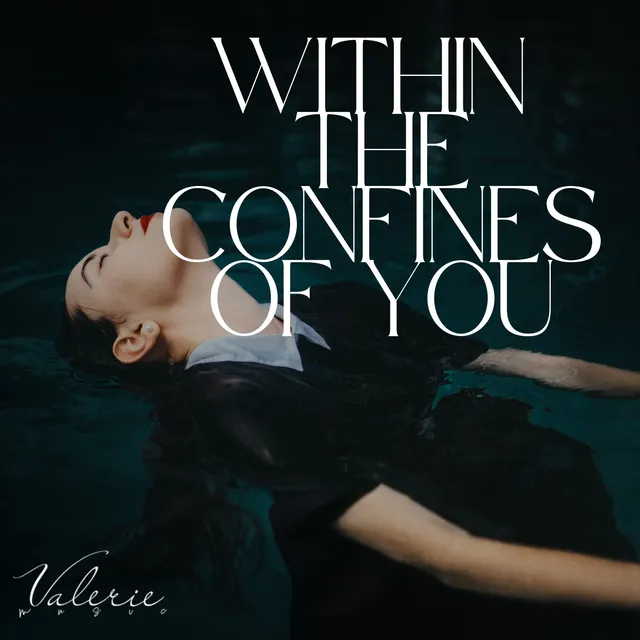 Album cover for WITHIN THE CONFINES OF YOU